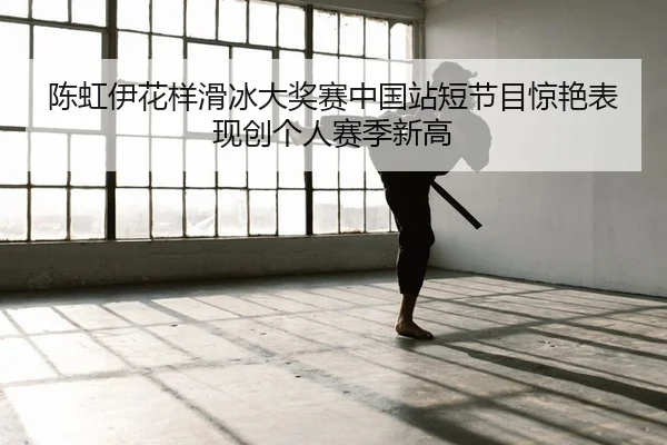 chen-hong-yi-hua-yang-hua-bing-da-jiang-sai-zhong-guo-zhan-duan-jie-mu-jing-yan-biao-xian-chuang-ge-ren-sai-ji-xin-gao-2-691.jpg